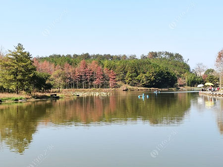 黄山茶花园水库