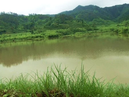 黄山陵山水库