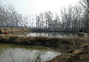 菏泽北外环垂钓园