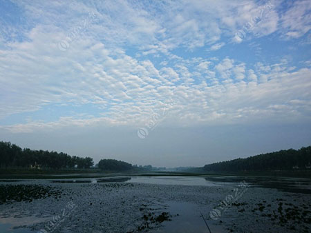 菏泽沙河