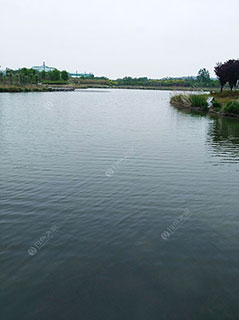 鹤壁罗庄水库