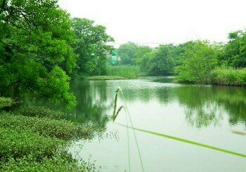 鹤壁张洼水库