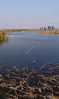 黄石石峡屋水库