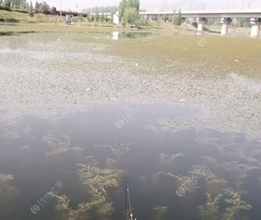 黄冈湖北省黄冈市叶路洲农场