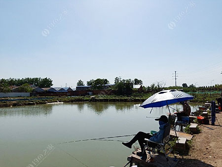 蚌埠大卢村生态垂钓中心