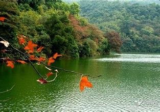 怀化牛屎洞水库