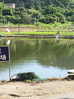 惠州老兰钩魚场