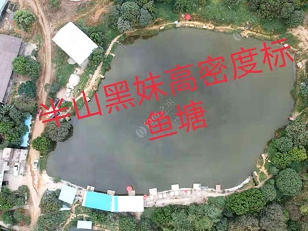 惠州半山钓鱼场