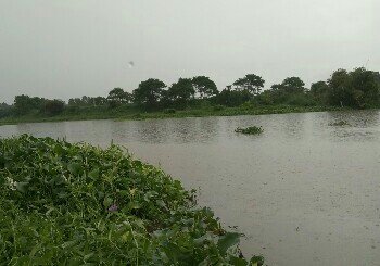 惠州小金河