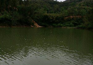 河源杨坑水库