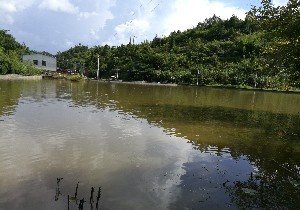 河源寨下钓鱼场