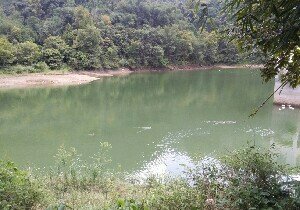 河池拉烟水库钓场