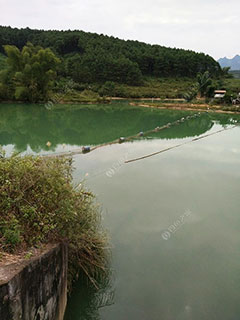 河池刁江