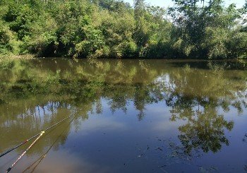 汉中天赐茶叶新房沟钓场