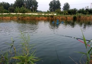 亳州秀水湾钓场