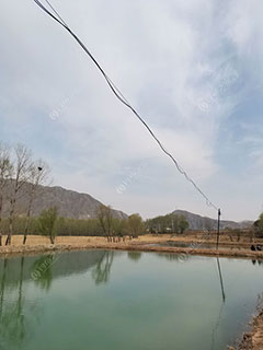 海东高店休闲鱼塘