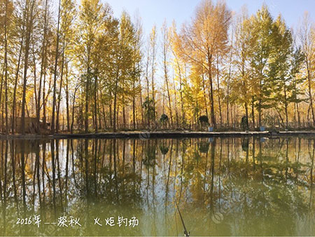 海西火炬钓场