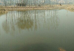 晋中开心垂钓园
