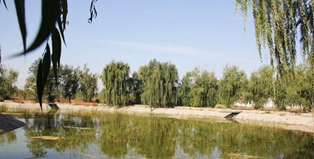 鸡西农家乐钓鱼村