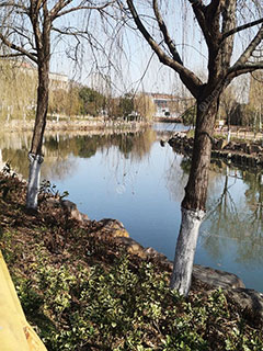 嘉兴北城河