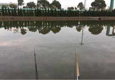 嘉兴海塘河钓场