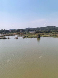 吉安泸水河