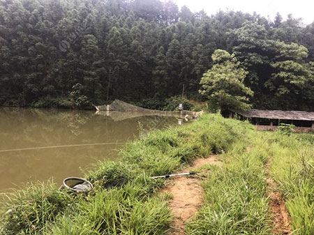 吉安西塘水库路上鱼塘