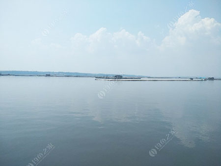 北海大蚝养殖基地海钓