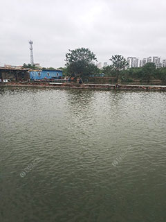北海北海快乐垂钓场