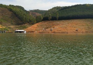 百色贺尔军钓棚海竿专区
