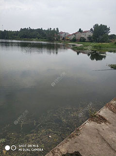 荆门丁家闸