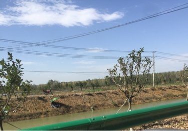 荆州长湖内河