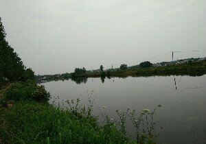 荆州天然居家庭农场