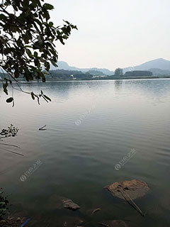 《江门附近好玩的免费钓鱼场有哪些?江门有哪些好的野钓地点?》封面图