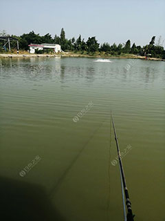 江门长湾钓场