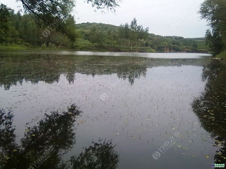 江门大草塘水库