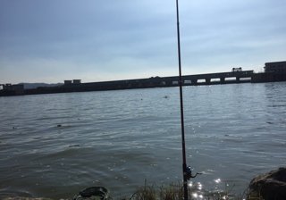 《揭阳能免费钓鱼的地方有哪些？揭阳哪里可以不花钱野钓？》封面图