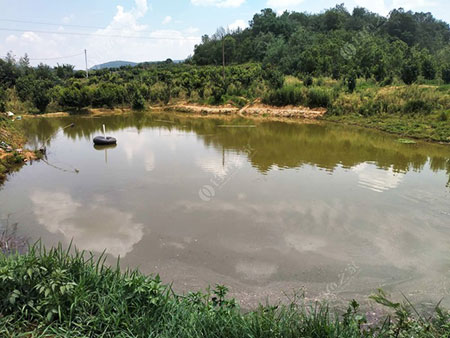 昆明双胞胎农场垂钓园