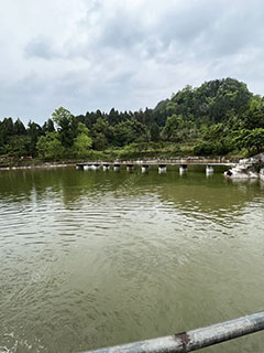 巴中青龙大物钓场
