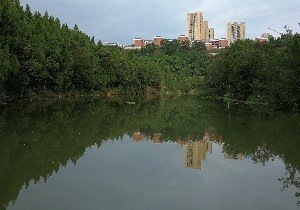巴中之字河