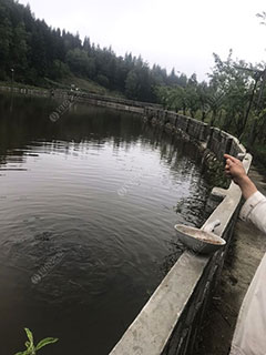 毕节松树坝钓场