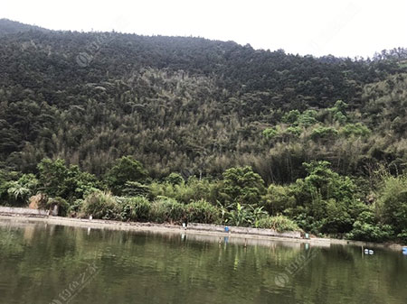 龙岩平林深田钓场