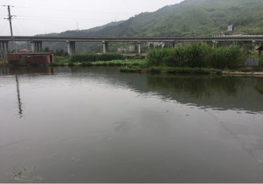 龙岩林邦钓场
