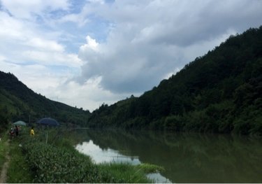 龙岩双洋溪河