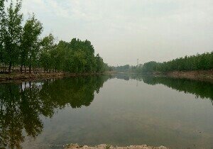 莱芜江水河