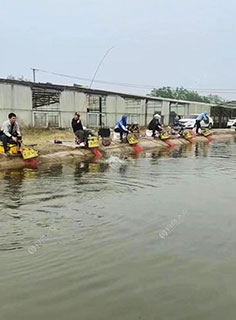 聊城丁莫垂钓园