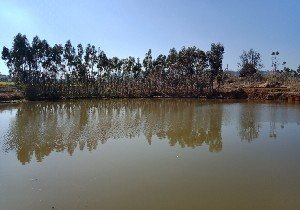 保山老王垂钓园