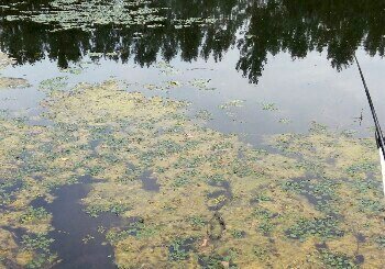 漯河冯河