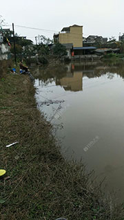 泸州景宏西岸阳光有机葡萄基地
