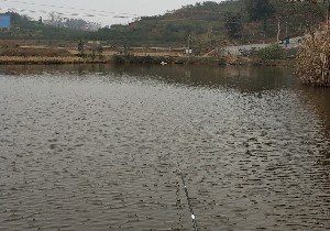 泸州对门斤塘